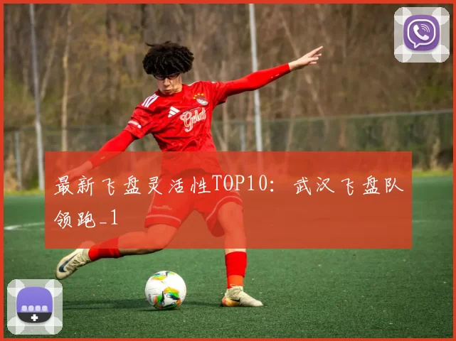 最新飞盘灵活性TOP10：武汉飞盘队领跑_1