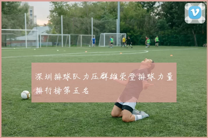 深圳排球队力压群雄荣登排球力量排行榜第五名