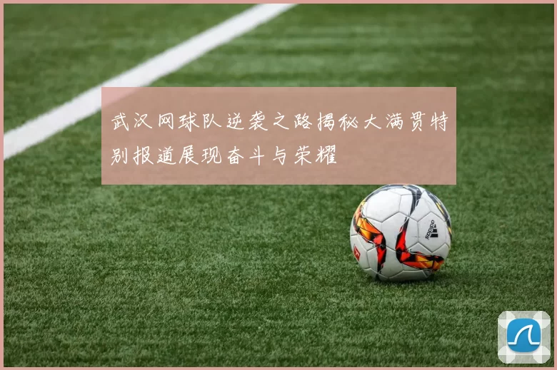 武汉网球队逆袭之路揭秘大满贯特别报道展现奋斗与荣耀