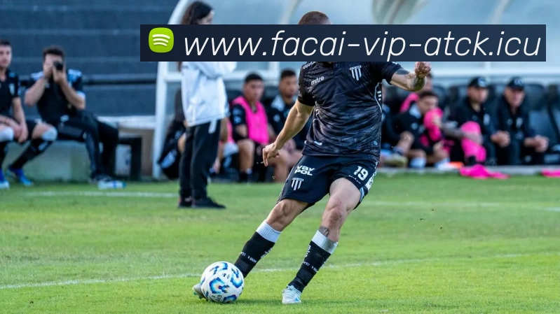 乐鱼体育平台生态图